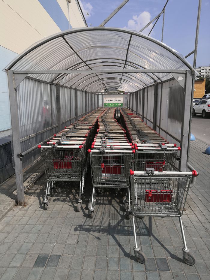 Home Neatly arranged shopping carts in a covered outdoor parking area on a sunny day.